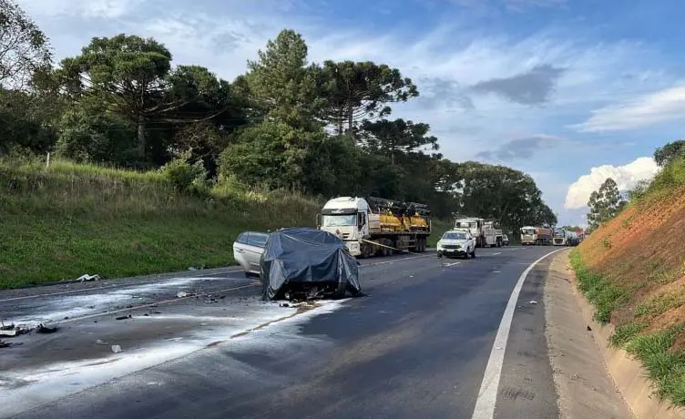 Carro fica pendurado em árvore após capotar na BR-277