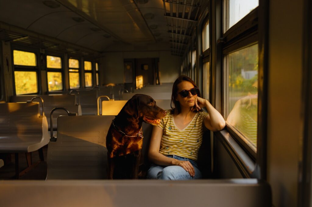 traveling with dog on public transport, human and animal friendship