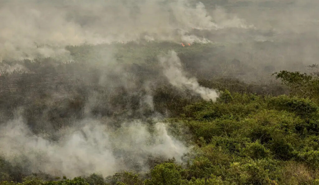 queimadas brasil afetam rodovias